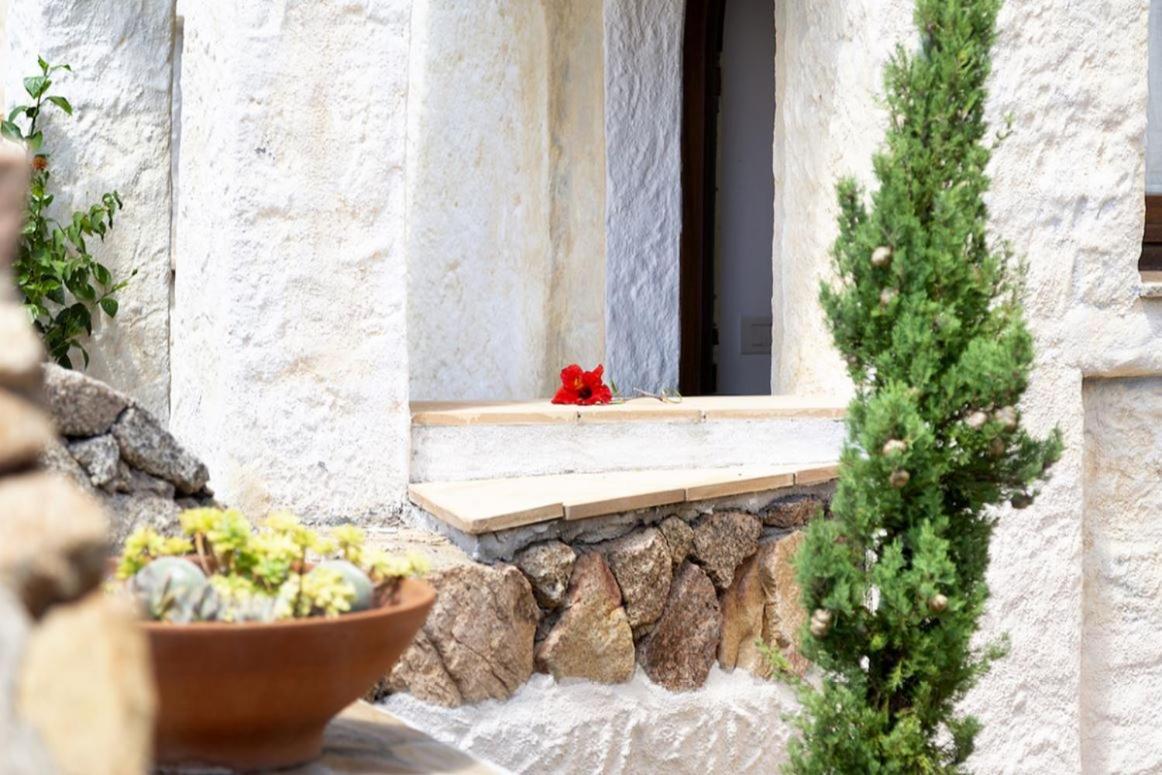 Villa Punta Saline Каниджоне Екстериор снимка